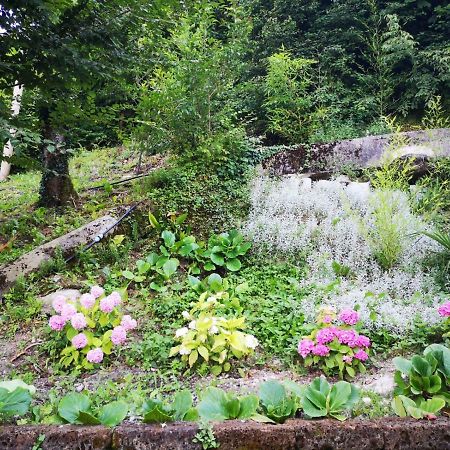 B&B Il Poggio Salò Buitenkant foto